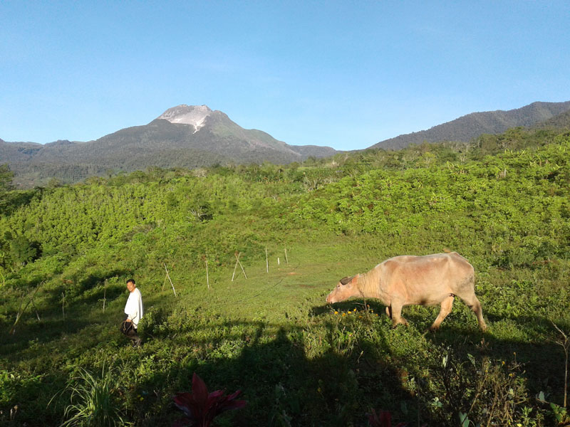 Sibulan - Upper Mt. Apo